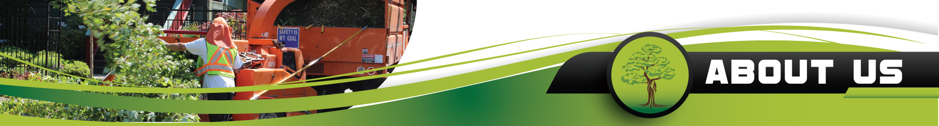 About - Eloy's Tree Care Service Near Me