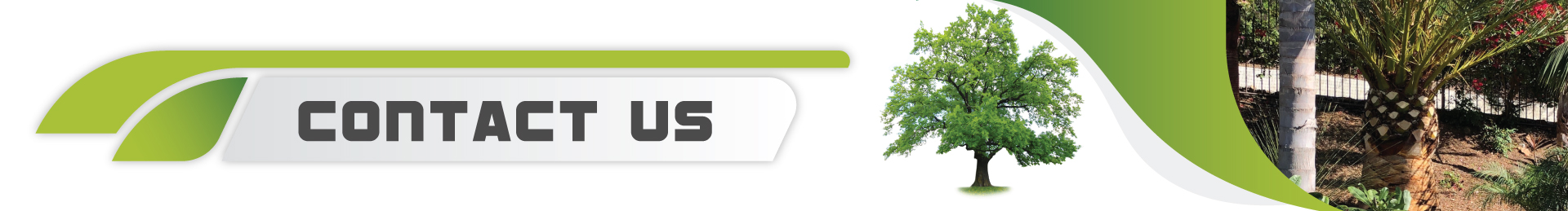 Tree Care Services Near Me