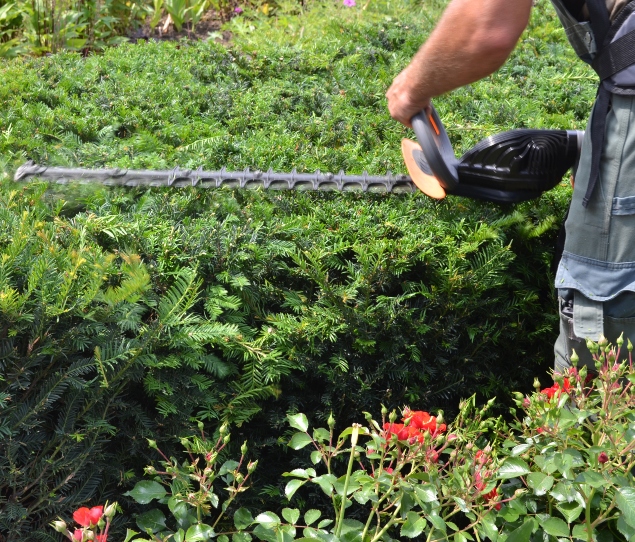 Reliable Landscaping Service In Southern California