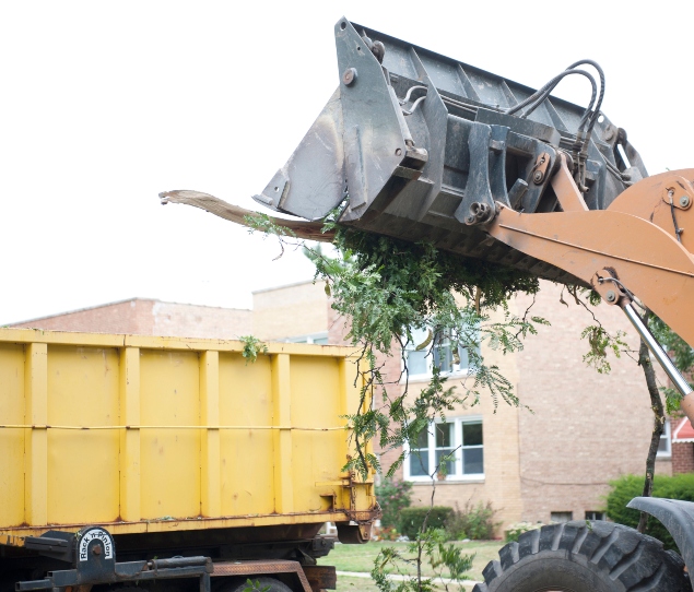 Emergency Tree Removal & Emergency services