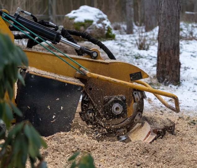 Stump Grinding