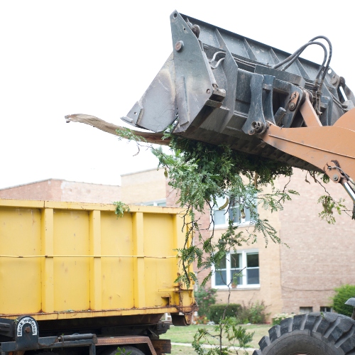 Emergency Tree Removal And Emergency services