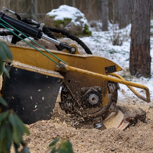 Stump Grinding