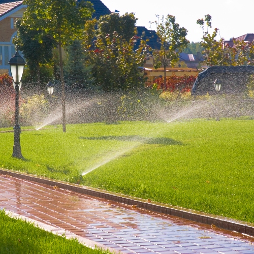 Commercial and residential sprinkle system services